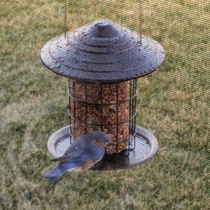 Meet your Posher, Christy